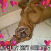 Florence Bean - @florencebean - TikTok