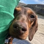 @florence_beanthesaus - Instagram