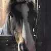 florence+mrbean - @florencemrbean - TikTok