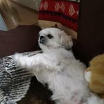 Florence Beasley - @florencebeasley37 - Instagram