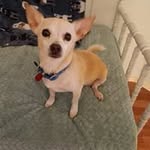 Florence Benedict - @florence_b1960 - Instagram