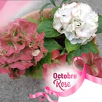Florence Bert - Facebook