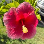 Florence bird - @florence182110 - Instagram