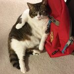 Florence Bird Knoll Coles - @flo_coles - Instagram