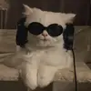 aishalé - @florencebloomm - TikTok