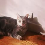 Florence Bloomfield - @bloomfieldflorence1 - Instagram