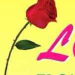 Florence Flowers & Gifts Shop - @florenceblooms - Instagram