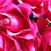 Florence Blum - Facebook