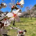 Blumen - @florenceblumen - Instagram