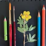 JRM - @florence_blume - Instagram