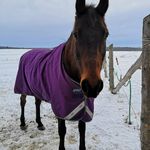Florence Bolduc - @flo_fait_du_tricot - Instagram