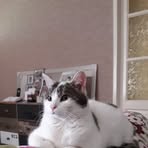 Florence Bonnet - Facebook