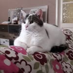 Florence Bonnet - @florence.bonnet.58367 - Instagram