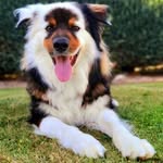 Florence Bonnet - @florencebonnet66 - Instagram