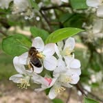 Florence Bourneuf - @florencebourneuf - Instagram
