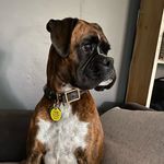 Florence - @florence_boxer - Instagram