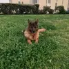 brasseletflorence - @brasseletflorence - TikTok