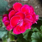 Florence Brasseur - @florence_brasseur - Instagram