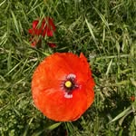 Florence Bray - @florence.bray.549 - Instagram