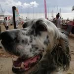 Florence Brice - @florence.brice09 - Instagram