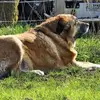 Florence Brook - @florence.brook - TikTok