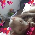 Florence Browning - @browningflorence - Instagram