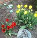 Florence Burchfield - Facebook