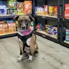 Florence Silva Byron - @florence.silva.by - TikTok