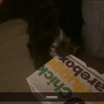 Florence Calvert - @florencecalvert_ - Instagram