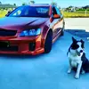 CameronFlorence - @cameronflorence_wylbh - TikTok