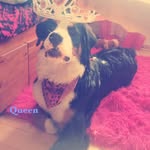 Queen Yassss - @florence_cardin - Instagram