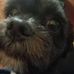 Florence Atherholt Cartwright - Facebook