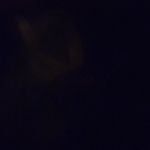 Florence Charles - @florence.charles.7712 - Instagram