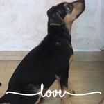 Florence Cheng - @florence.cheng.5099 - Instagram