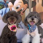 Florence Cheng - @cheng.florence.1 - Instagram