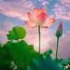 Florence Chong - @florence.chong2 - TikTok