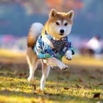 Florence Chong - @fslchong - Instagram