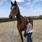 Florence Clément - @flo_osteo_equin - Instagram