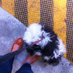 Florence - @florence_cloud - Instagram