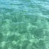 Florence.conrad - @florence.conrad - TikTok