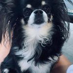 Florence Cortez Di Chiara - @flocortez_ - Instagram
