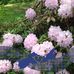 Florence Craig - Facebook