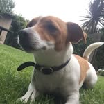 Florence Crawford - @flo_crawford - Instagram