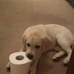 Florence Crowe - @florence.crowe.1 - Instagram