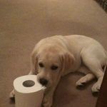 Florence Crowe - @florence.crowe.1 - Instagram
