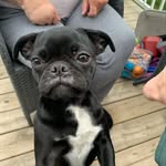Florence Graham Cullen - @grannyflo48 - Instagram
