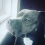 florence - @florencecummings92021 - Instagram