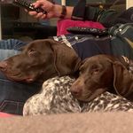 Florence Cunningham-bryce - @albus_sybil21 - Instagram