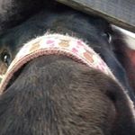 Mary Florence Cunningham - @ihanvaanmeeri - Instagram
