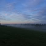 flo - @florencecurtis.photography - Instagram